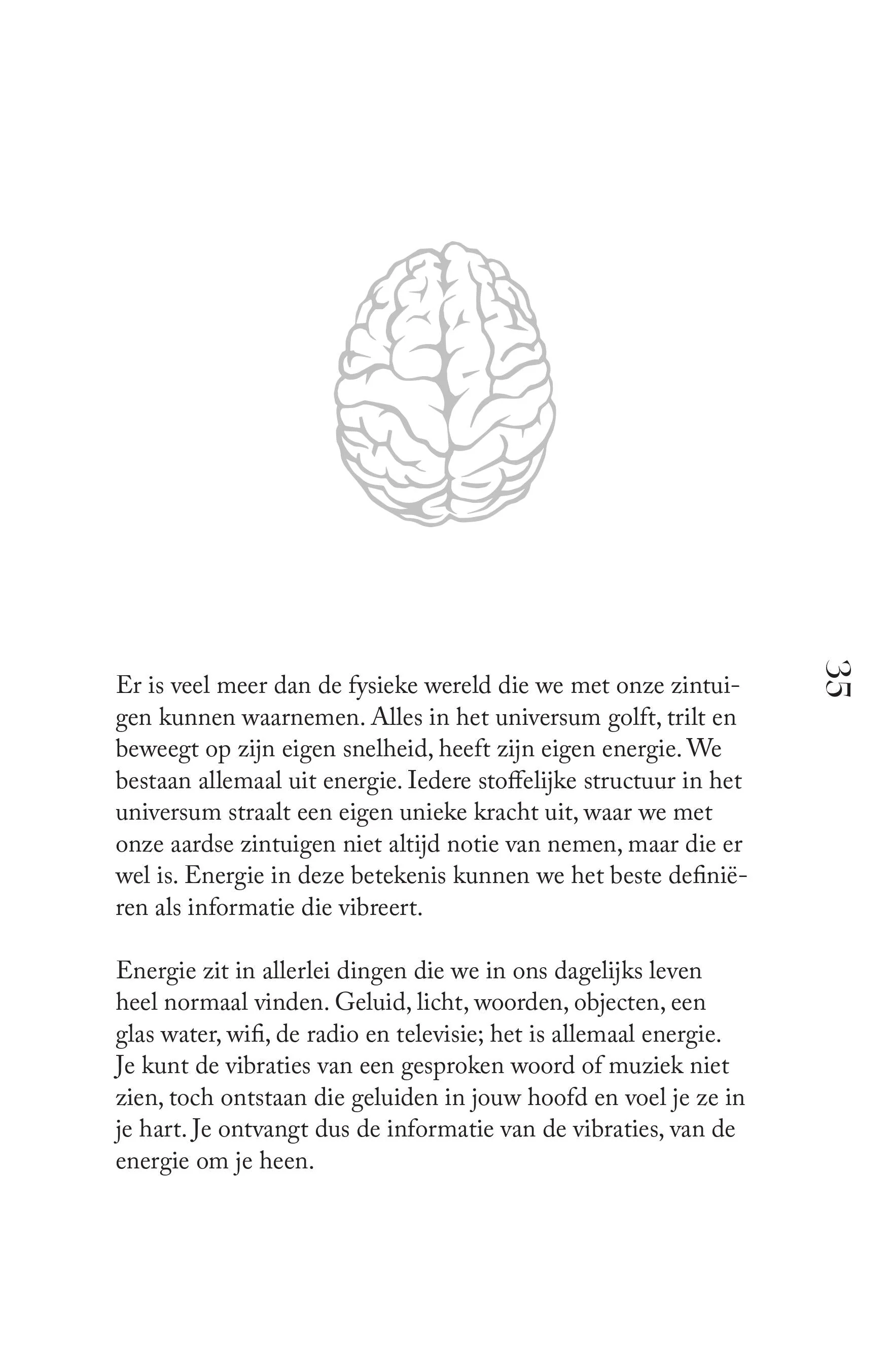 Productafbeelding 13